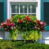 flowers adorn window box - garden decoration stock pictures, royalty-free photos & images