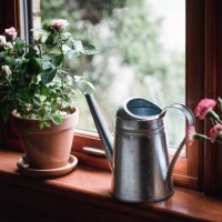 flowers and watering can by a window - garden decoration stock pictures, royalty-free photos & images