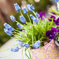 flowers in garden - garden decoration stock pictures, royalty-free photos & images