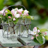 flowers in glasses - garden decoration stock pictures, royalty-free photos & images