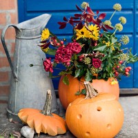 flowers in pumpkins in a garden. - garden decoration stock pictures, royalty-free photos & images