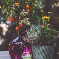 flowers in the garden - garden decoration stock pictures, royalty-free photos & images