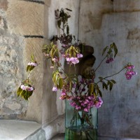 flowers near the window - garden decoration stock pictures, royalty-free photos & images