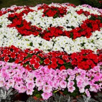 flowerscape - garden decoration stock pictures, royalty-free photos & images