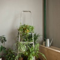 folding ladder used as shelve for home plants in urban jungle interior - garden decoration stock pictures, royalty-free photos & images