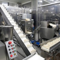 food moving through production line in factory - food stock pictures, royalty-free photos & images