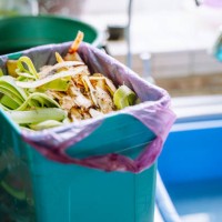 food scrapes waste in waste bin with degradable pink plastic bag - food stock pictures, royalty-free photos & images