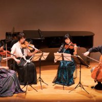 four musicians playing violin and cello at classical music concert - concert stock pictures, royalty-free photos & images