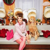 frau mit haustier pudel in retro-friseursalon - hairstyle stock-fotos und bilder