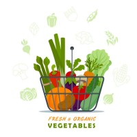 fresh and organic vegetables in shopping basket. - food stock illustrations