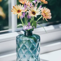 fresh cut flowers from garden in clear glass vase - garden decoration stockfoto's en -beelden