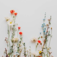 fresh flowers pattern in white with blank paper - home decoration stock pictures, royalty-free photos & images