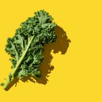 fresh green organic kale leaves on yellow background. healthy food, diet and detox concept. flat lay, top view, copy space - food stock pictures, royalty-free photos & images