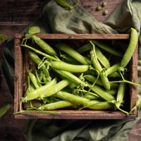 fresh organic green peas on wooden table - garden decoration photos et images de collection