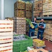 fresh vegetables in warehouse - food stock pictures, royalty-free photos & images