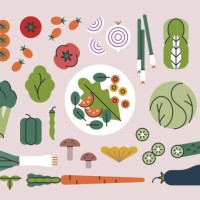 fresh vegetables & plate of salad — brightline series - food stock illustrations
