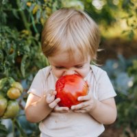 freshly picked vegetables are the tastiest - food stock pictures, royalty-free photos & images