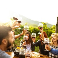 freunden anstoßen mit rotwein nach der ernte - food stock-fotos und bilder