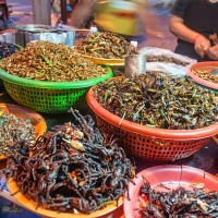 fried insects and bugs for sale in phnom penh, cambodia - food stock pictures, royalty-free photos & images