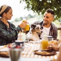 friends doing a lunch in the farm villa - garden decoration stock pictures, royalty-free photos & images