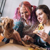 friends eating pizza together with cute terrier dog - junk food stock pictures, royalty-free photos & images
