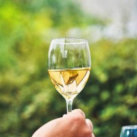 friends enjoy a glass of white wine at home in the patio - garden decoration photos et images de collection