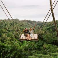friends swinging together against forest - travel stock pictures, royalty-free photos & images