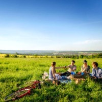 friends toasting bottles and having a picnic on field - food stock pictures, royalty-free photos & images