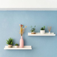 front view of decorative white shelve withplant decoration at empty apartment with painted blue wall - home decoration stock pictures, royalty-free photos & images