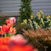 front yard in spring - garden decoration stock pictures, royalty-free photos & images