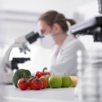 fruits and vegetables next to scientist using microscope - food stock pictures, royalty-free photos & images