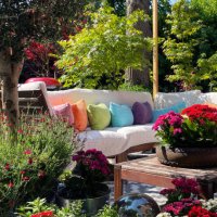 full frame image of outdoor lounging area in summer, hardwood seating with cushions, wooden table top with flowering plant centrepiece, bonsai trees, japanese maples, stone lantern, landscaped oriental design garden, sunny da