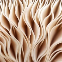 full frame shot of abstract pattern - food photos et images de collection