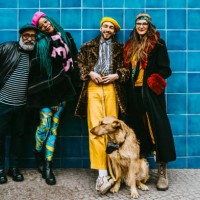full length of smiling men and women with dog against blue wall - fashion stock pictures, royalty-free photos & images