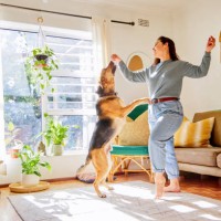 full length shot of an attractive young woman dancing with her dog in the living room at home - home decoration stock pictures, royalty-free photos & images