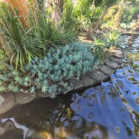 garden - garden decoration stockfoto's en -beelden