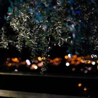 garden at night with city lights in the background - garden decoration stock pictures, royalty-free photos & images