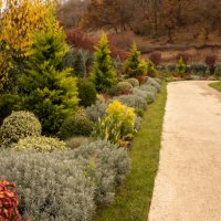 garden design in autumn. footpath and lawn with flowerbeds of red chrysanthemum flowers and other plants - garden decoration stock pictures, royalty-free photos & images