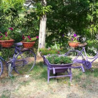 garden exterior decoration - garden decoration stockfoto's en -beelden