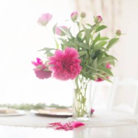 garden flowers - garden decoration stock pictures, royalty-free photos & images