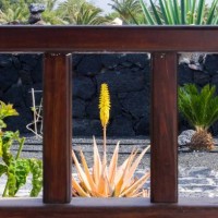 garden from the terrace - garden decoration stock pictures, royalty-free photos & images