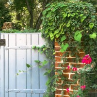 garden gate - garden decoration stock pictures, royalty-free photos & images