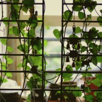 garden greens - garden decoration stock pictures, royalty-free photos & images