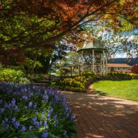 garden in bowral australia - garden decoration stock pictures, royalty-free photos & images
