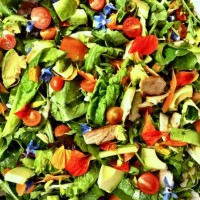 garden salad - garden decoration stock pictures, royalty-free photos & images