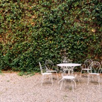 garden table and chairs by the green ivy wall at the winery in bordeaux, france - garden decoration stockfoto's en -beelden