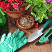 garden tools - garden decoration stock pictures, royalty-free photos & images