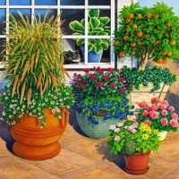 garden with cat in the window - garden decoration stock illustrations