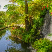 garden with plants in a lake and waterfalls in asian architecture - garden decoration stock pictures, royalty-free photos & images