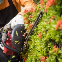 gardener decorating garden - garden decoration stock pictures, royalty-free photos & images